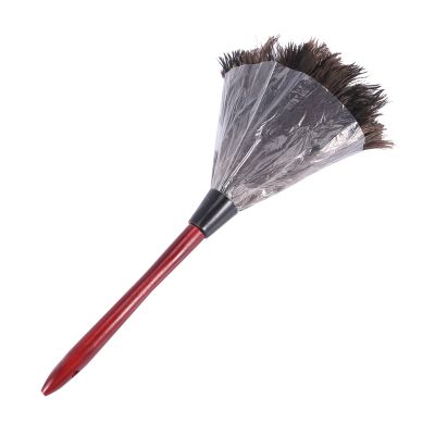 Ostrich Cleaning Feather Duster Ostrich Duster Ostrich Feather Duster Soft Feathers Duster From furniture to fan blades of various jobs Photo Color