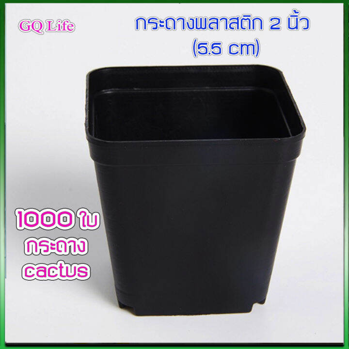 กระถาง-2-นิ้ว-1000-ใบ-กระถาง-5-5-cm-กระถางถูก-กระถางแคคตัส-กระถางเหนียว-กระถางเพาะชำ-กระถางเล็ก-ๆ-กระถางเหนียว-กระถาง1บาท-กระถางถูก-กระถาง