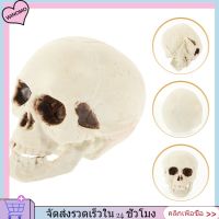 WINOMO 4 pcs จำลองโครงกระดูกหัวรุ่นฮาโลวีน Skull Prop Mini Skulls ตกแต่ง Party Props