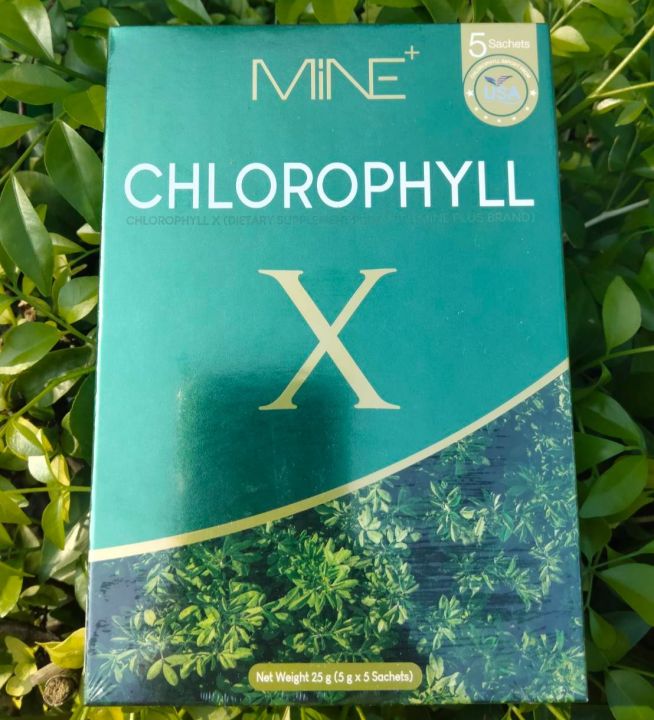 คลอโรฟิลล์-เอ็กซ์-mine-chlorophyll-x-ผลิตภัณฑ์เสริมอาหาร-คลอโรฟิลล์-เอ็กซ์-ตรา-มายน์-พลัส-1-กล่อง-มี-5-ซอง