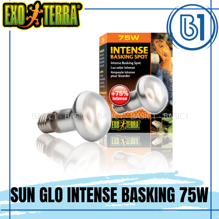 Exo Terra Sun Glo Intense Basking Spot Lamp 75W Lazada PH