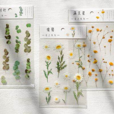 LT【ready stock】PET Daisy Iris Eucalyptus Globulus Flower Serie Bullet Journal Decorative Stationery Stickers Scrapbooking DIY Diary Album Stick1【cod】