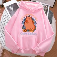 Capybara เสื้อมีฮู้ดผู้หญิง2023,เสื้อมีฮู้ดสไตล์เกาหลีกราฟิกฮาราจูกุ