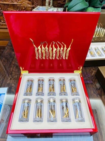 Đông trùng hạ thảo tây tạng, khô nguyên con loại đông trùng hạ thảo cao cấp - ảnh sản phẩm 1