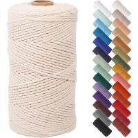 【CC】 3mm 20M Colored Macrame Cord Rope Cotton Twine Thread String Sewing Wall Hanging Bohemia Knitting