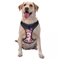 Dog Harness Pet Dog Chest Harness Vest Puppy Harness Outdoor Sports Pet Harness Traction Rope Suitable for Small and Medium Dogs