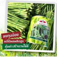 ถั่วฝักยาวลำน้ำชี 500 กรัม(เคลือบสาร)