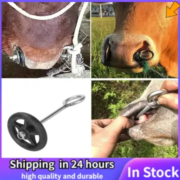 Nose Rings nose ring metal ring for cattle cow accessories cattle nose clip  cattle supplies cattle nose plier cattle nose buckle bull nose Stainless  steel ring clamp pliers lasso : Amazon.sg: Industrial
