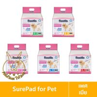 [MALETKHAO] SurePad (ชัวร์แพด) Pet Diapers ผ้าอ้อมสุนัข สุนัขเพศเมีย