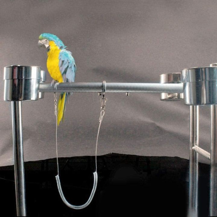 papi-pet-สายจูงสายรัดนกสำหรับนกแก้ว-q22b-6ม-เชือกฝึกซ้อมสำหรับนกแก้วนกกระตั้ว