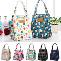 ﺴ❉☇ Fashion Lunch Bag Insulated Thermal Lovely Cat Multicolor Breakfast Box Bags Women Portable Hand Pack Picnic Travel Products