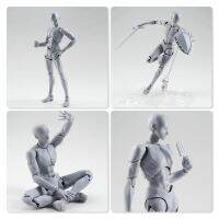 15Cm Grey SHF ชายท่าทางเคลื่อนไหวได้ภาพวาดอะนิเมะแอคชั่นของร่างกายตุ๊กตาหุ่นจำลองตัวการ์ตูนของเล่น Swr-071ของขวัญสำหรับเด็ก