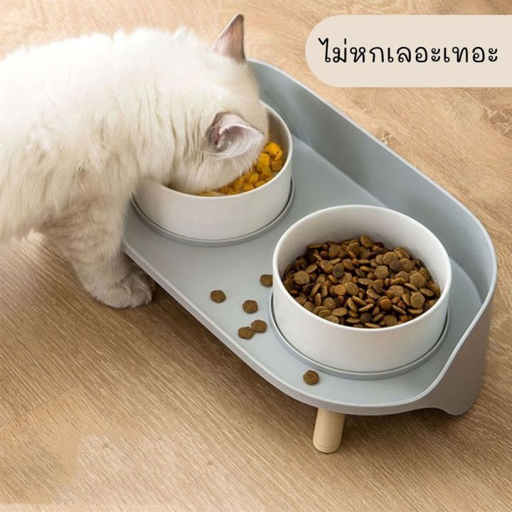 catholiday-ชามถ้วยชาคู่พร้อมฐานกันหก-ชามอาหารสัตว์เลี้ยง-ชามอาหารแมว-บริการเก็บเงินปลายทาง-สำหรับคุณ