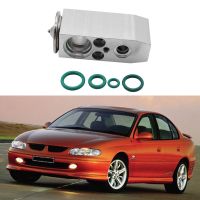 Air Con AC TX Valve &amp; O-Rings for VX - V6 &amp; V8 Models