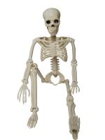 【HOT】♗ 1PC 35.43 inch Artificial Human for Trick Props