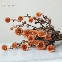 30g Dried Blue Thorn Celery Planet Flower Fruit Echinops Sphaerocephalus For Nordic Home Decor Artifical Flower Room decortion