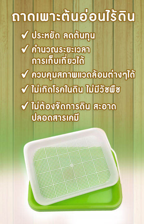 ถาดพลาสติกเพาะต้นอ่อนพร้อมฝาปิด-ผักไมโครกรีน-microgreen-tray-สีเขียวขนาด-240x305x50-มม-โดยไม่ใช้ดิน-ทานตะวัน-โต้วเหมี่ยว-ไควาเระ-ถั่วงอก