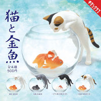 KITAN CLUB Original Gashapon Capsule ของเล่นรูป Kawaii แมวน่ารักจับปลาทองถังปลา Miniature สัตว์ Figurine Anime Decor