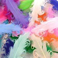 20Pcs/Lot Colorful Feathers Handicraft Accessories Table Centerpieces Wedding Decoration Jewelry Creation