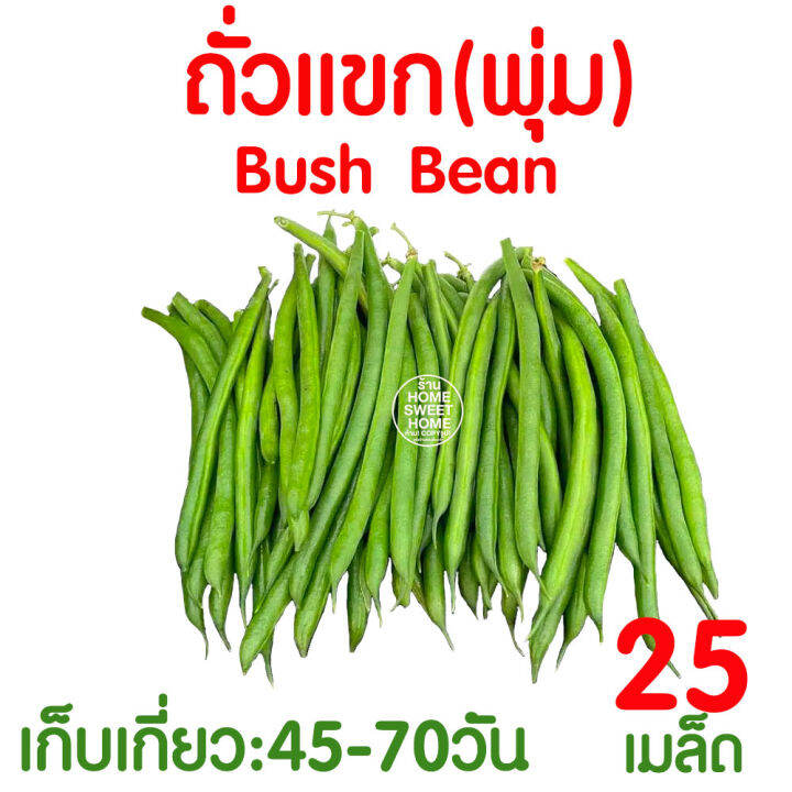 ค่าส่งถูก-ถั่วฝักยาว-แตงกวา-ถั่วพู-ถั่วลันเตา-มะเขือ-เมล็ด-ผักผล-เมล็ดพันธุ์-ผักสวนครัว-แครอท-ถั่วแขก-มะระ-บวบ-แครอท-ถั่วหวาน-ส่งเร็ว