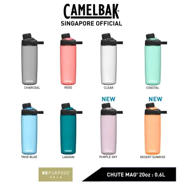 CamelBak 32oz Chute Mag Vacuum Insulated Stainless Steel Water Bottle -  Purple