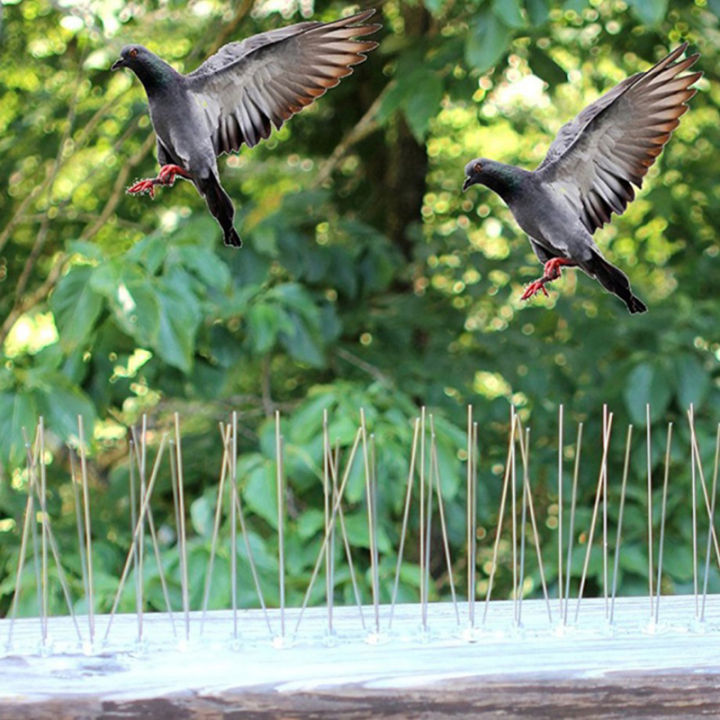 rayua-ผู้พิทักษ์นกแหลมรั้วผนังป้องกันนก-pigeon-protector-ผู้จำหน่าย