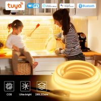 【LZ】 Tuya Wifi COB LED Strip Light AC 220V Remote Control Smart Led Neon Strips Waterproof Flexible Tape for Home Outdoor Lighting