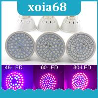 xoia68 Shop 200 300 LED Plant Grow light bulb phytolamp full spectrum Flower growing lamp E27 for indoor greenhouse growtent Hydroponic