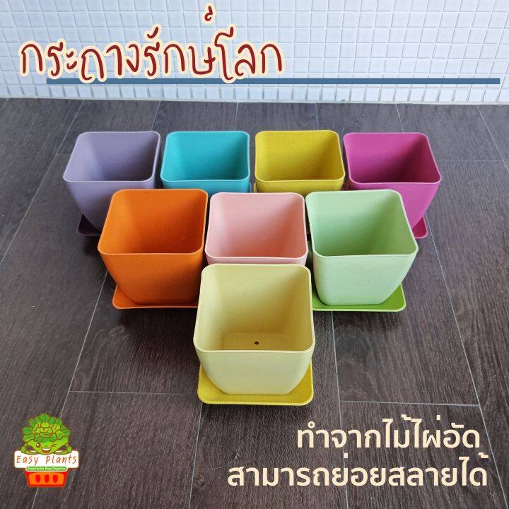 กระถาง-สีพลาสเทล-กระถางรักษ์โลก-กระถางปลูกต้นไม้-กระถางแต่งบ้าน-ของแต่งบ้าน-กระถางน่ารัก-กระถาง-4-นิ้ว