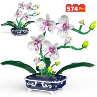 574PCS City Mini Orchid Potted Plants Building Blocks Friends Simulation Flower Orchid Bricks House Decoration Toys For Kid Gift Artificial Flowers  P