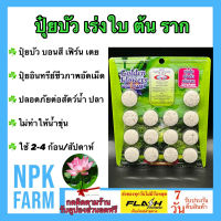 ปุ๋ยบัว 15-12-8 ปุ๋ยดอกบัว ปุ๋ยไม้น้ำ ปุ๋ยบอนสี เฟิร์น เตย Gloden Flowers 14 เม็ด สูตรเร่งใบ เร่งต้น เร่งราก แตกกอดี ทำให้น้ำใส ปลาไม่ตาย ปลอดภัย