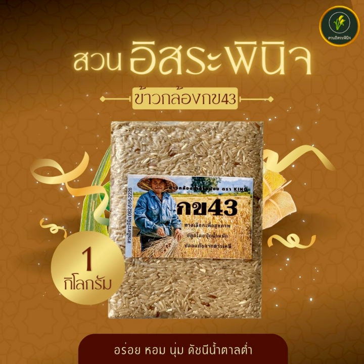 ข้าวกล้อง-กข43-แท้-100-ข้าวกล้องกข43-ข้าวน้ำตาลต่ำ-ตรา-สวนอิสระพินิจ-แพ็คสูญญากาศ-1-kg-ปลอดสารเคมี-ปลูกโดยน้ำหมักสูตรธรรมชาติ