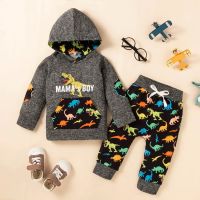 Autumn Dinosaur Print Long Sleeve Trousers Hooded Sets Cartoon  Cotton Hoodie Baby Boy Two-piece Tracksuit Sportswear