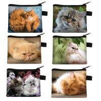 卍✖● Cute Animal Persian Cat Print Coin Purse Women Pet Pattern ID Credit Card Earphones Coin Bags Zipper Pouch Money Storage Bag