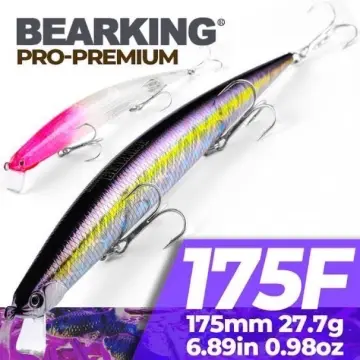 BEARKING 10cm 16g Super Magnet Weight System Long Casting New model Fishing  Lures Hard Bait Premium Minnow Tackle