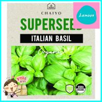 เมล็ดพันธุ์โหราพาอิตาเลี่ยน ชัยโย 280 เมล็ดITALIAN BASIL (ORGANIC) 280 SEEDS **ของแท้100%**