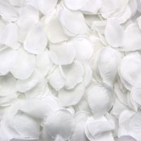 500 Rose petals scattered white decoration Wedding Party