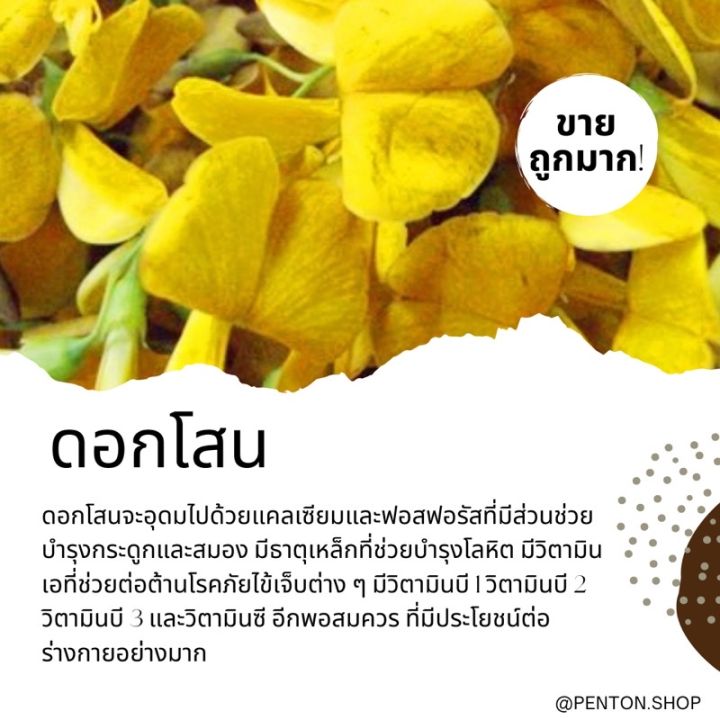 เมล็ดพันธุ์ดอกโสน-10เมล็ด-ขั้นต่ำโปรดสั่งสินค้าภายในร้าน-30บาทขึ้นไปค่ะ