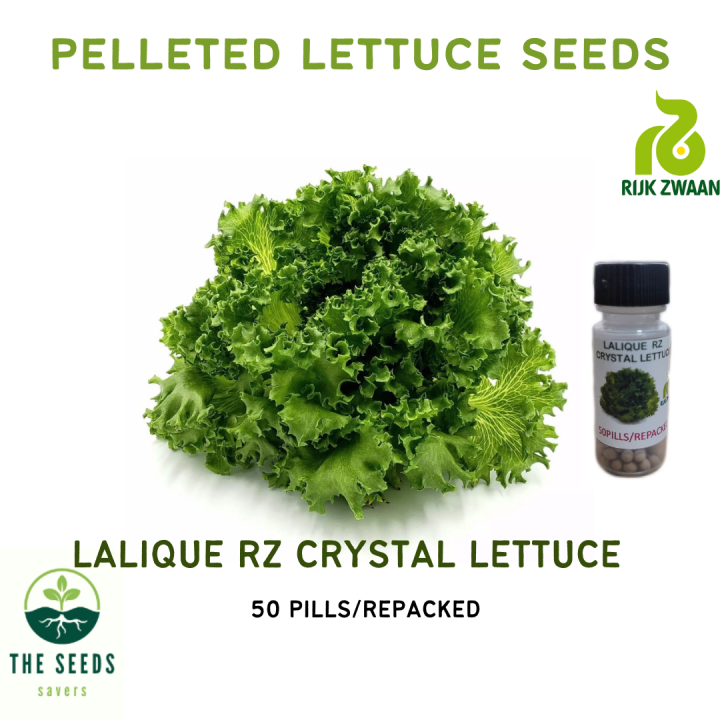 LALIQUE CRYSTAL LETTUCE/PELLETED SEEDS/50PILLS Lazada PH