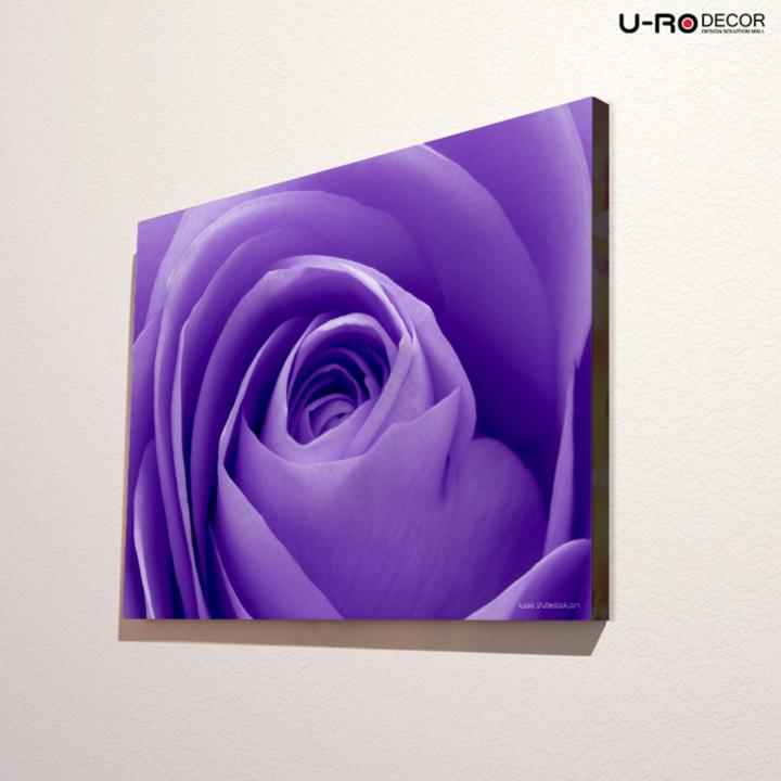 u-ro-decor-รุ่น-violet-rose-ภาพพิมพ์-ขนาด-50x70-ซม-ยูโรเดคคอร์-ภาพแต่งบ้าน-รูปภาพติดผนัง-รูปภาพวิวธรรมชาติ-รูปภาพพิมพ์กรอบลอย-ภาพวิวสวยๆ-ตกแต่งผนัง-รูปภาพพร้อมแขวน-printing-picture-wall-picture-canvas