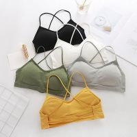 【CW】 Cross Strap Bra Gather Shockproof Sports Underwear Breathable No Rims Breast Pad Bra Women Summer Sexy Beauty Back Brassiere