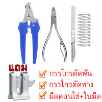 ชุดอุปกรณ์เลี้ยงเลี้ยงหมู 4in1 กรรไกรตัดหาง คีมตัดฟัน กรรไกรตัดหมู กลอนหางปลา ฟาร์มหมู สุกร ส่งจากไทย