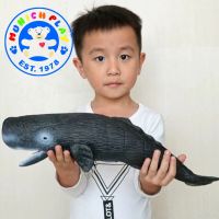 Munich Play - โมเดล Whale ปลาวาฬ สเปิร์ม ขนาด 42.00 CM แบบนิ่ม (จากหาดใหญ่)