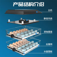 Automatic Incubator Small Household Inligent Chicken Incubator Mini Dual Electric Incubator