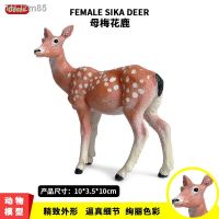 ? ของขวัญ The simulation model of wildlife deer Christmas sika solid plastic hands do furnishing articles toys for children