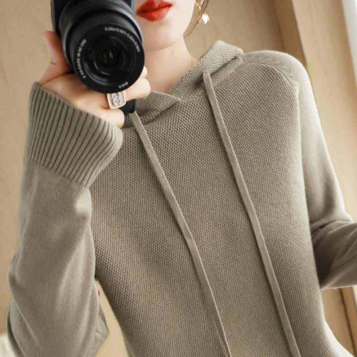 hooded-sweater-womens-spring-and-autumn-2023-new-hoodie-base-shirt-inner-riding-knitted-shirt-casual-large-size-womens-sweater-with-hood-2023
