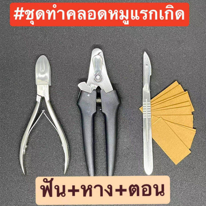 ราคาถูกสุด-กรรไกรตัดเขี้ยวหมู-มีตอนหมู-กรรไกรตัดหางหมู-3ชิ้นครบชุด-แถมใบมีด10ใบ-ใช้งานสะดวก