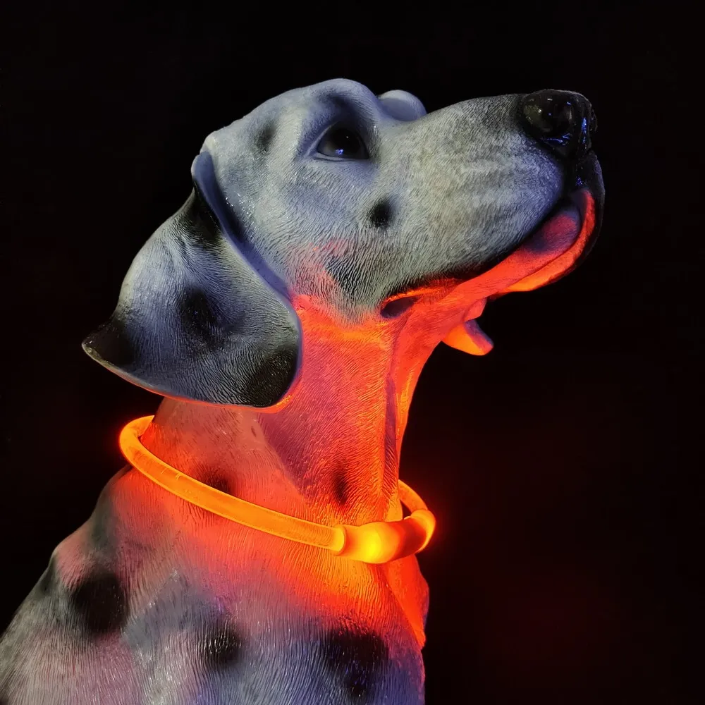 Are Led Lights Safe For Dogs