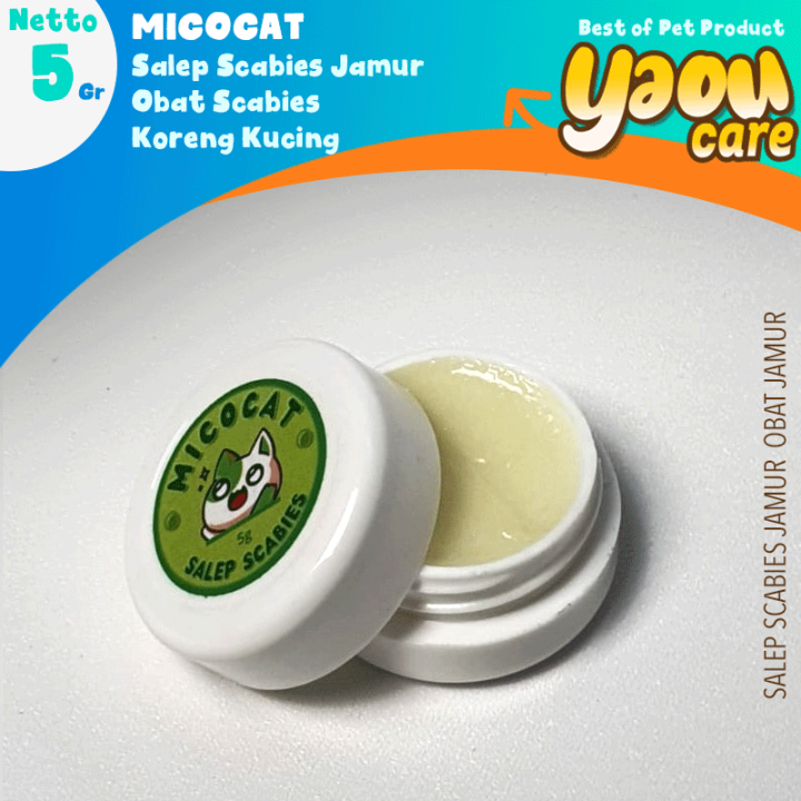 MICOCAT Salep Scabies Jamur Obat Scabies Koreng Kucing 5gr Lazada