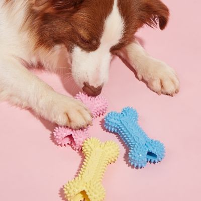 พร้อมส่งของเล่นสุนัข ของเล่นหมา กระดูกหมา กระดูกของเล่น ของเล่นขัดฟัน ของเล่นหาพันธุ์เล็ก ของเล่นหมาพันธุ์กลางของเล่นแมว